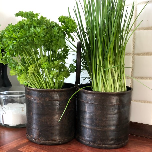 Scrapmetal - Krydderurteholder