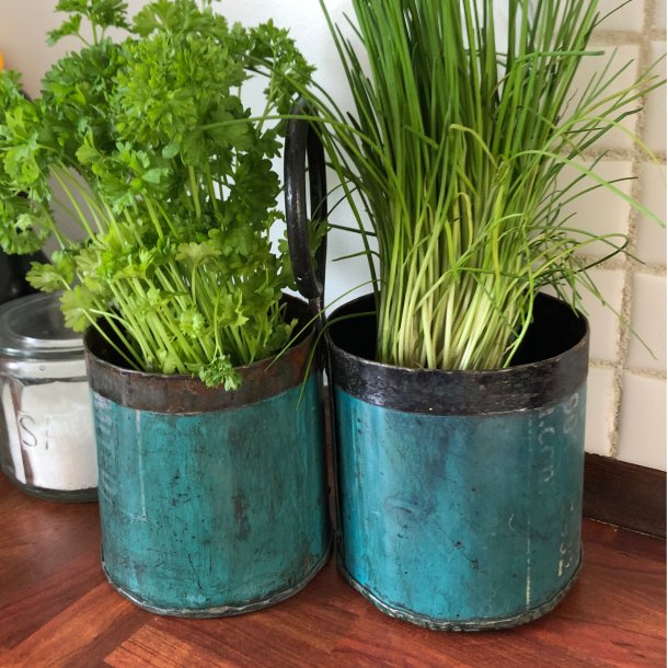 Scrapmetal - Krydderurteholder