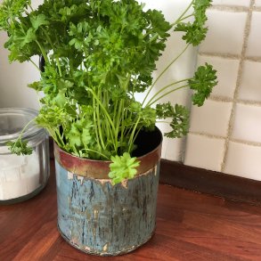 Scrapmetal - Krydderurteholder