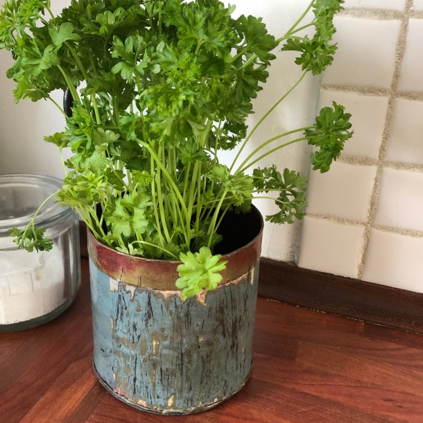 Scrapmetal - Krydderurteholder