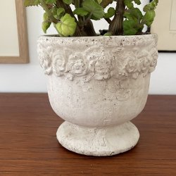 Skjuler p fod m/roser 