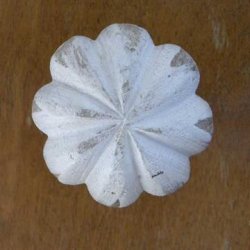 Knop - Lyst tr� med m�nster